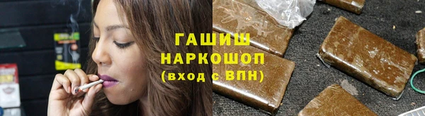 индика Абаза