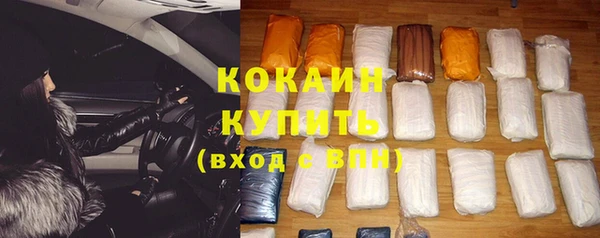 индика Абаза