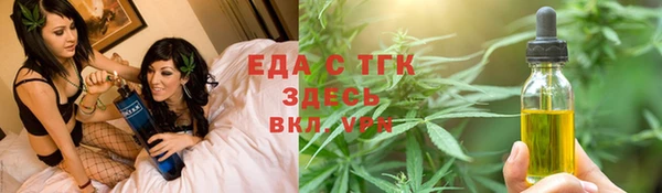 индика Абаза