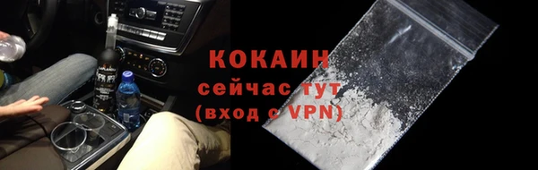 индика Абаза