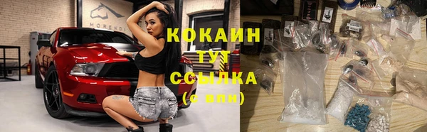 индика Абаза