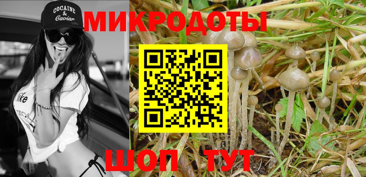 Псилоцибиновые грибы Cubensis Азов