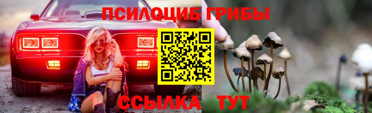Псилоцибиновые грибы MAGIC MUSHROOMS  Галлюциногенные грибы мицелий  Азов  Вход с VPN 